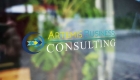 Artemis Business Consulting -Window Logo
