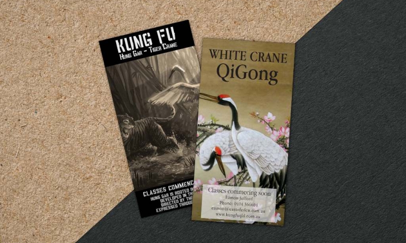 Kung Fu FLyer